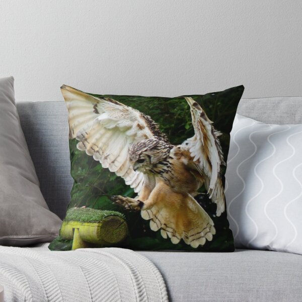 Item preview, Safe Landing designed and sold by LumixFZ28.