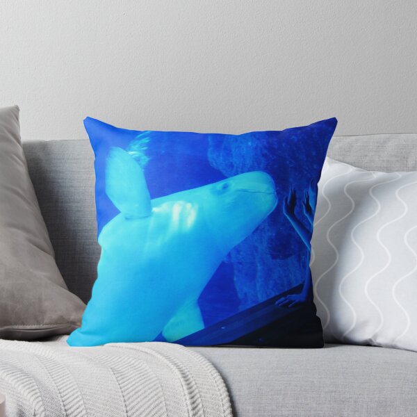 Item preview, Kodak Moment  designed and sold by Kat Augustine.