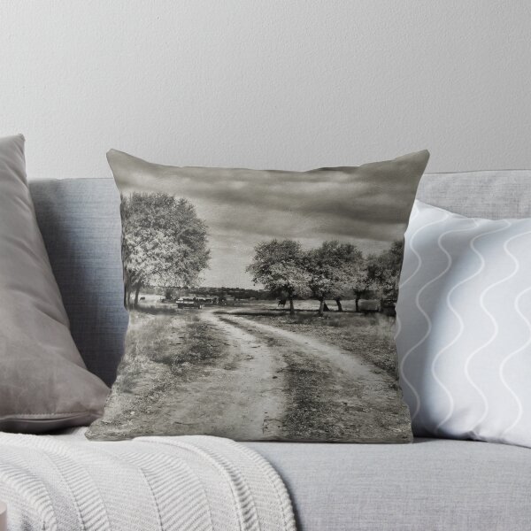 Aperçu de l'œuvre Country Road 2 ( BoneYard Series ) créée et vendue par Carla Jensen.