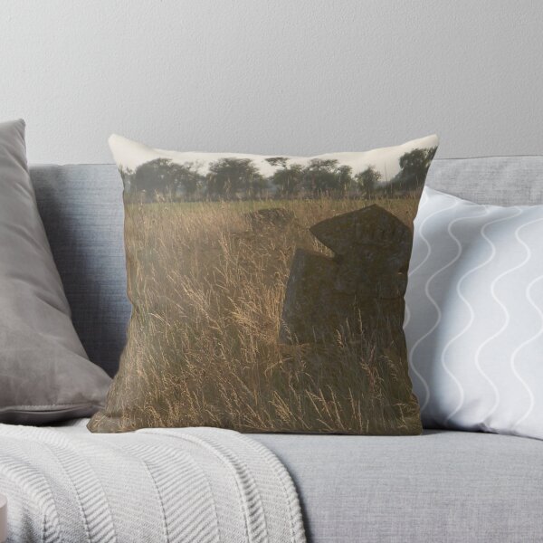 Memento Mori Throw Pillow