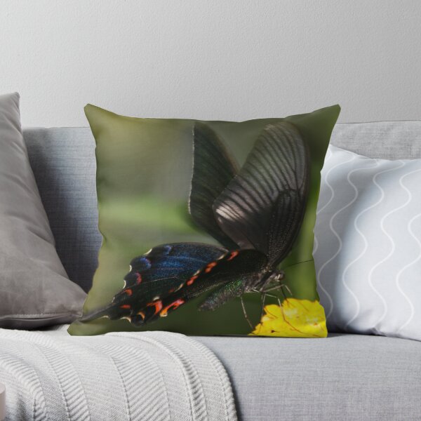 Eastern Tiger Swallowtail Butterfly Throw Pillow