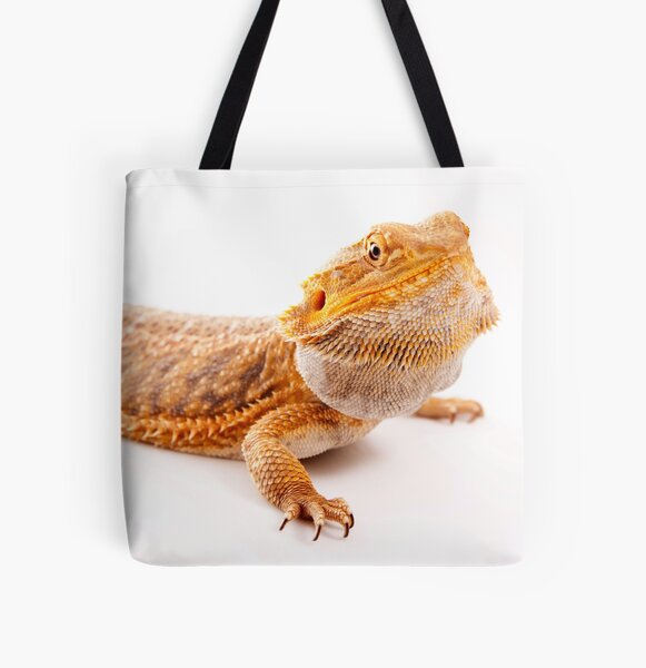 Item preview, Central Bearded Dragon - Pogona vitticeps designed and sold by Tim Miller.