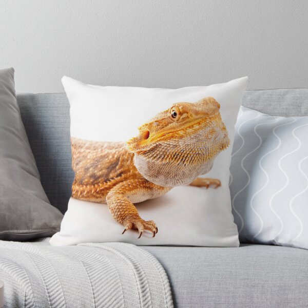 Central Bearded Dragon - Pogona vitticeps Throw Pillow