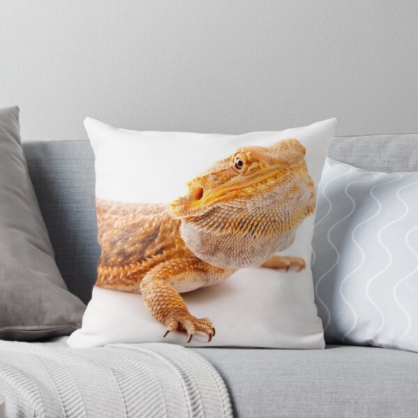 Item preview, Central Bearded Dragon - Pogona vitticeps designed and sold by Tim Miller.