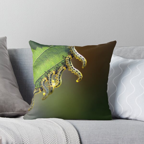 Item preview, Square Meal designed and sold by Steiner62.
