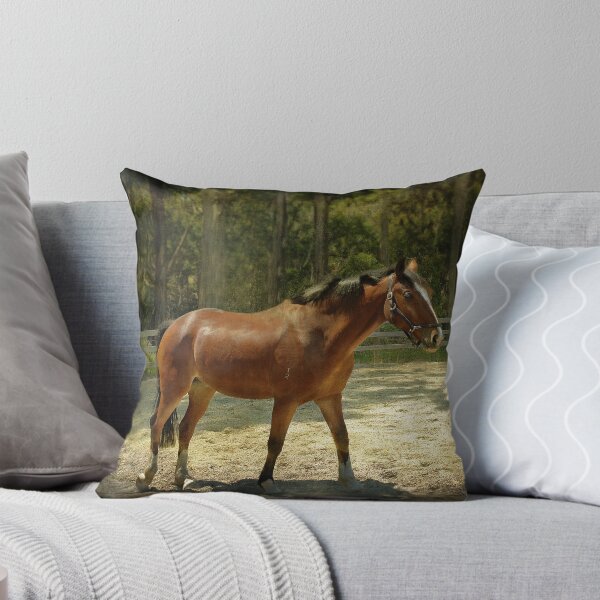 Harry Throw Pillow