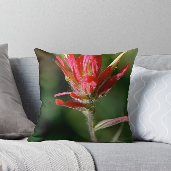 Item preview, Indian Paintbrush designed and sold by Pamela Hubbard.
