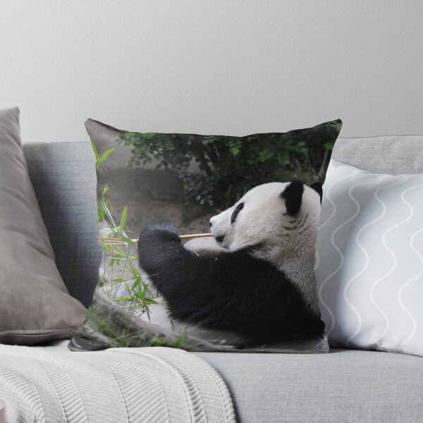 Item preview, Panda Food designed and sold by Anne Smyth.