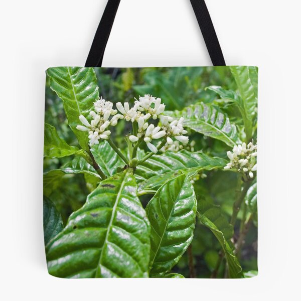 Item preview, Poison Ivy designed and sold by Larry  Grayam.