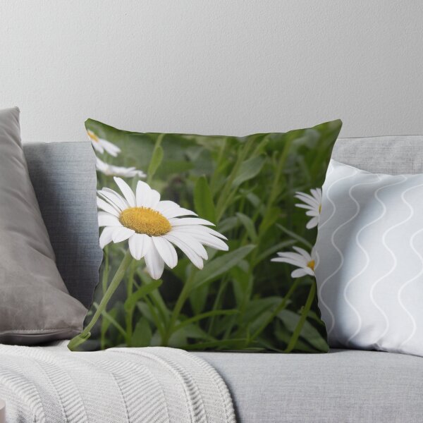 Item preview, Daisies designed and sold by shooterrn.