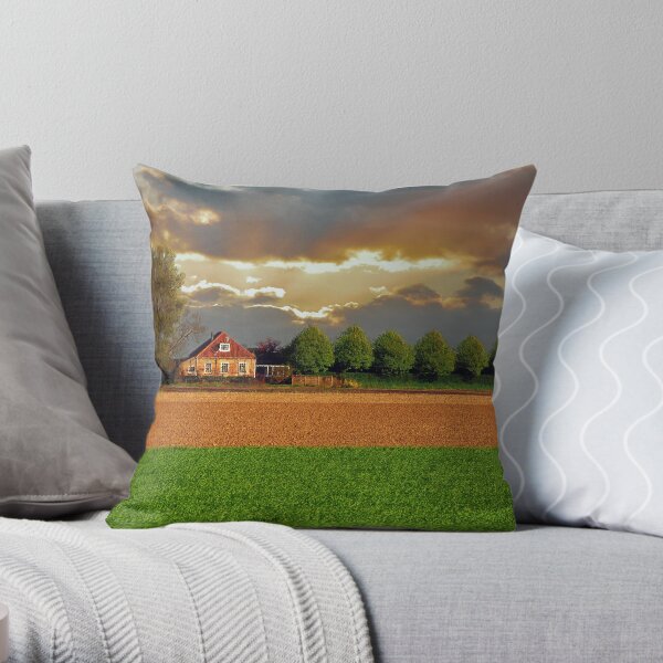 Polder House Throw Pillow