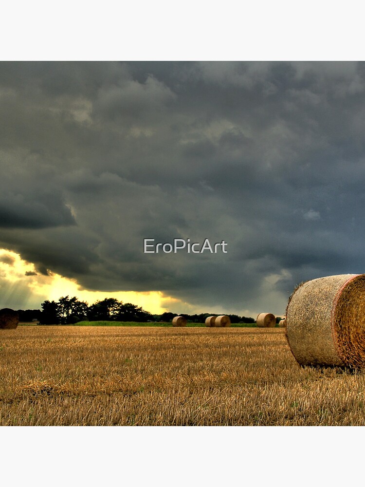 Kornfeld by EroPicArt