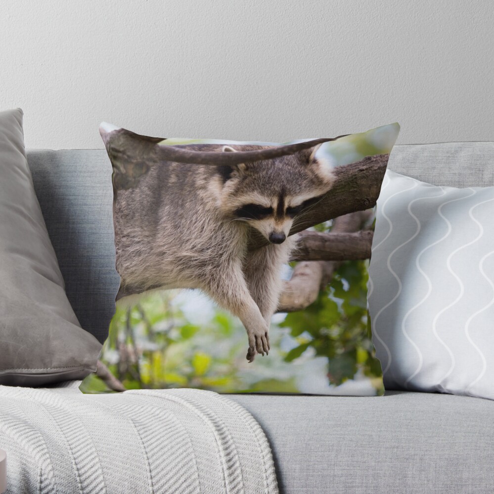 Wet laundry Throw Pillow