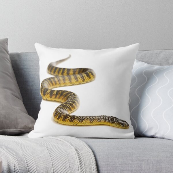 Eastern or Common Tiger Snake (Notechis scutatus scutatus) Throw Pillow