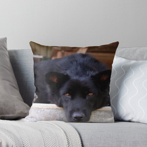 Item preview, Dog, Ubud, Bali designed and sold by JonathaninBali.