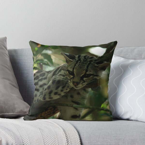 Item preview, Wakey Wakey designed and sold by BLAMB.
