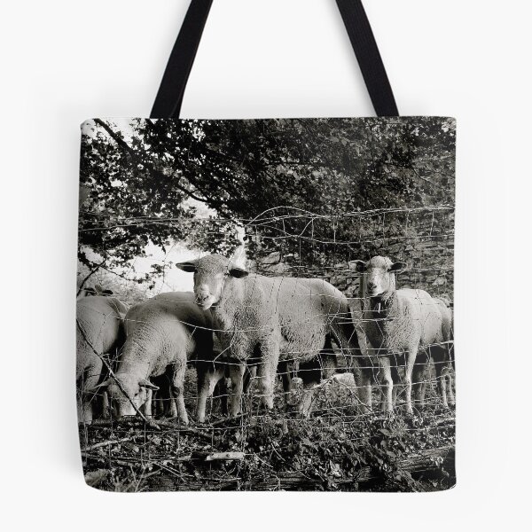Item preview, Sheep, Alpe Sassi, Switzerland designed and sold by itchingink.