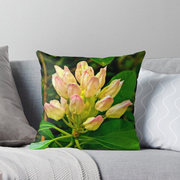 Artikelvorschau, Rhododendron #1 entworfen und verkauft von Trevor Kersley.