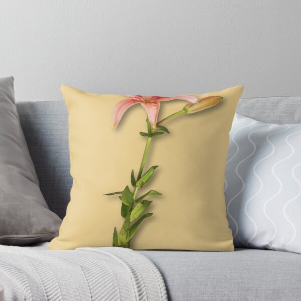 Aperçu de l'œuvre Day Lily Series créée et vendue par Paul Lindenberg.