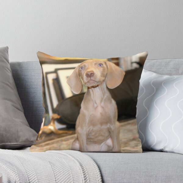 Item preview, ARE WE GOING OUT? designed and sold by elatan.