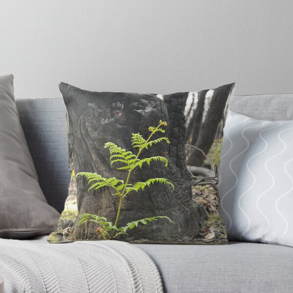 Item preview, Regenerating Tree fern designed and sold by KellieJayne.