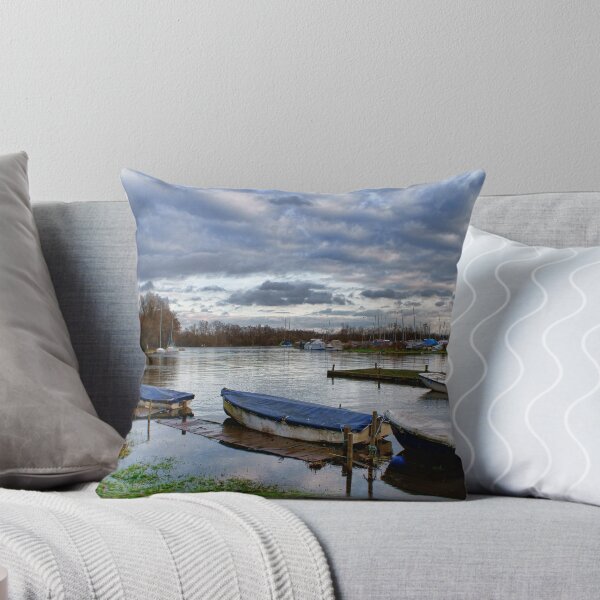 Item preview, Norfolk Broads Early Winter  designed and sold by Mark Snelling.