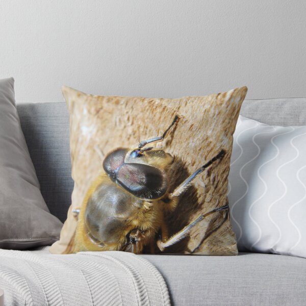 Item preview, What you looking at! designed and sold by donkeymonkey.