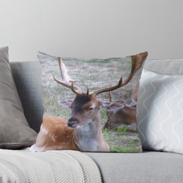 Item preview, Fallow Deer (Dama dama) (22) designed and sold by DutchLumix.