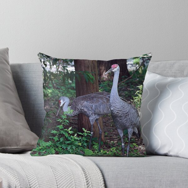 Item preview, SAND HILL CRANES designed and sold by BOLLA67.