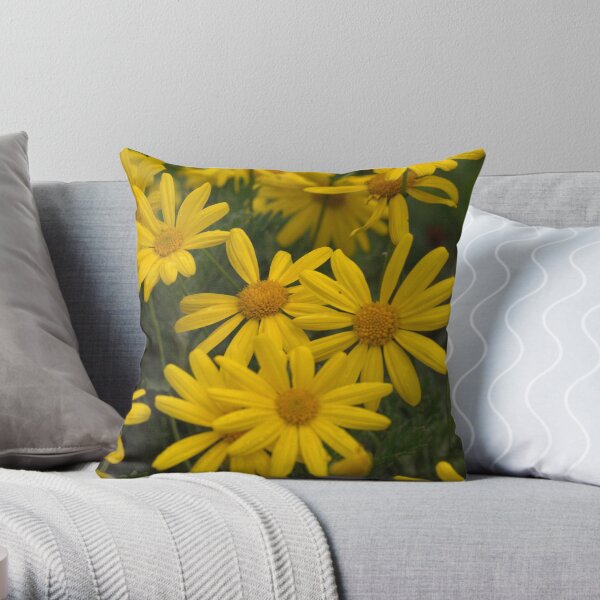 Give me a daisy a day dear... Throw Pillow
