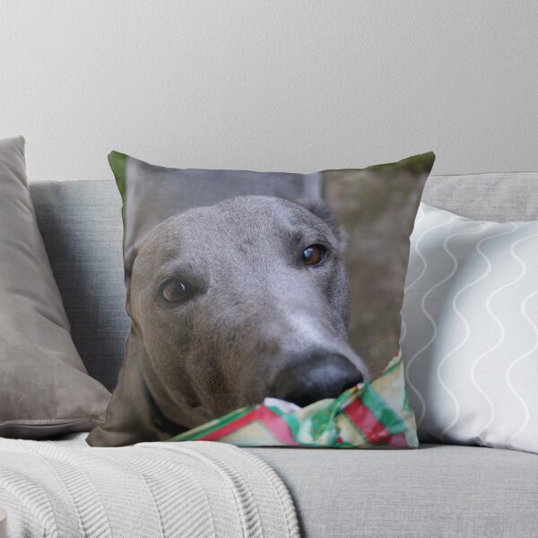 Item preview, Smokey designed and sold by GreyhoundSN.