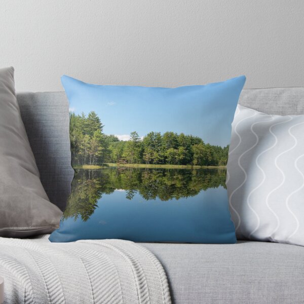 Mirror Throw Pillow