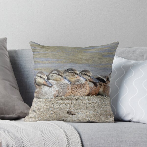 Item preview, Naptime designed and sold by noffi.
