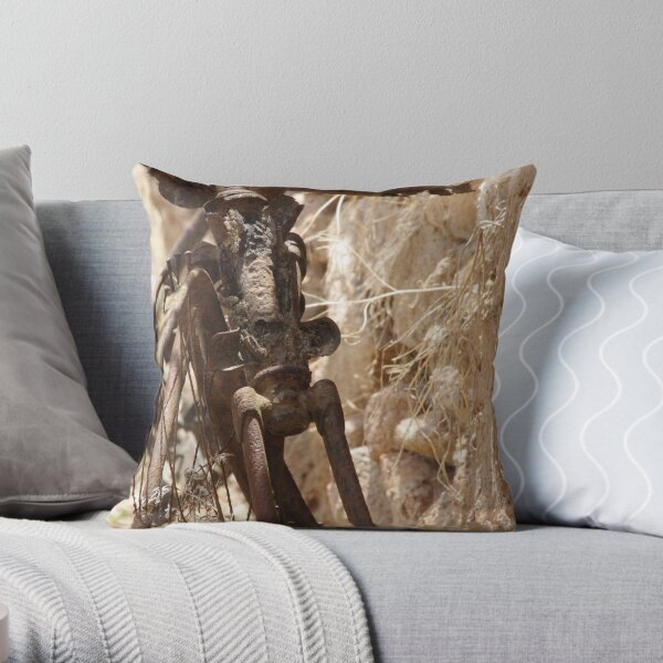 Bicycle Remains Throw Pillow