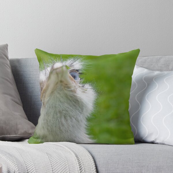 Item preview, I see , , ,  i see , , , ,    going to get ya designed and sold by Nala.