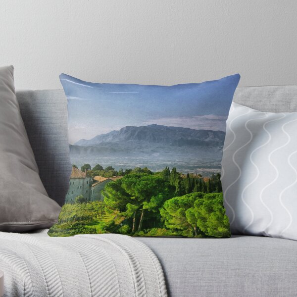 Vineyard in Monte Cassino Throw Pillow
