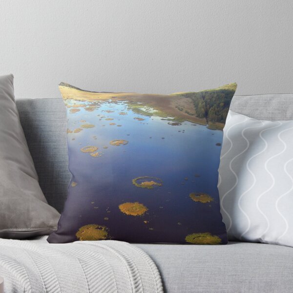 Item preview, Marshy lake (The Baltic states) designed and sold by Antanas.