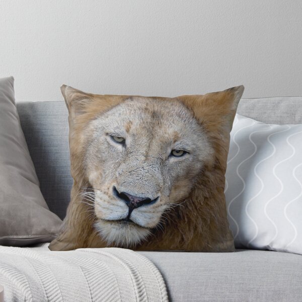 Item preview, Manyaleti Male Lion designed and sold by Michael Moss Photography.
