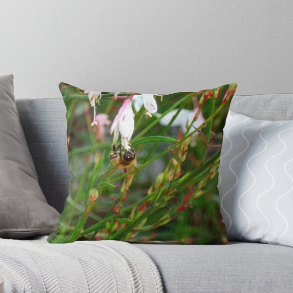 Item preview, Acrobat designed and sold by lymbis.
