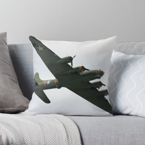 Sally B Flies Again! Throw Pillow