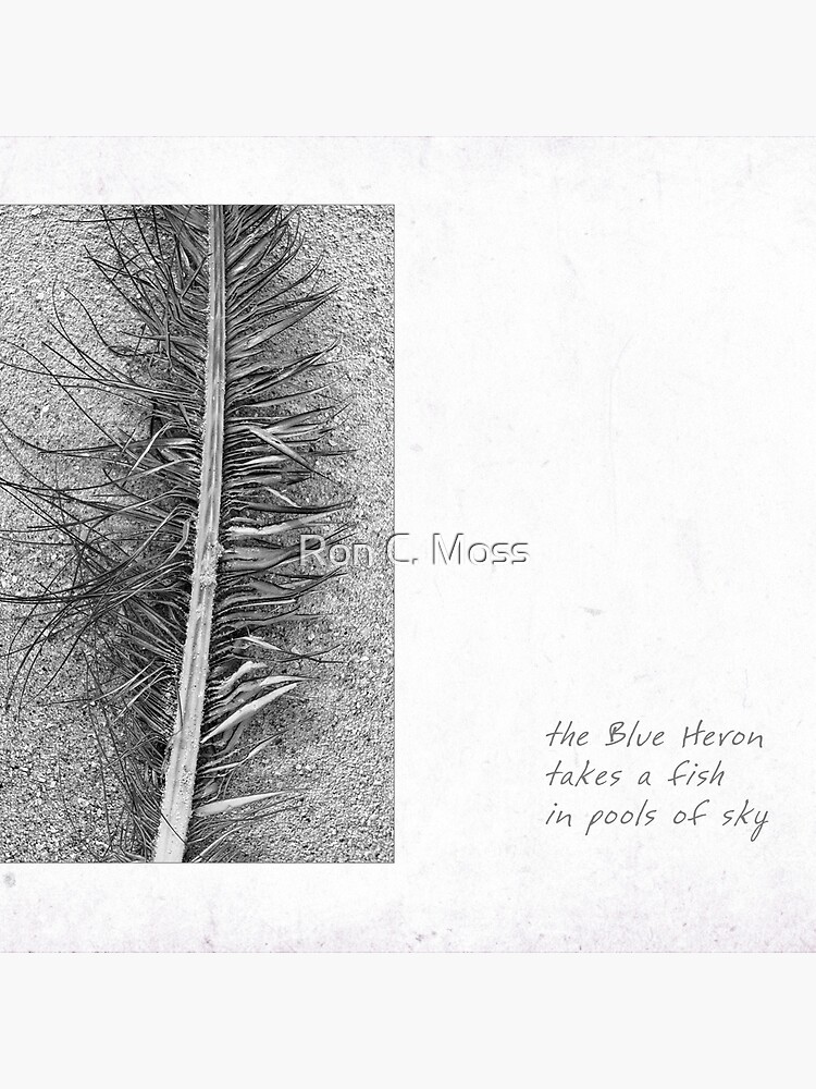 Riverboat Man - part 4 by ronmoss