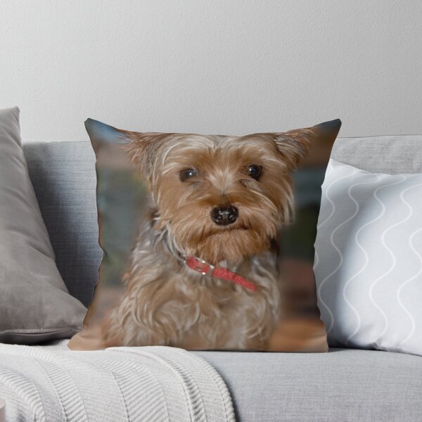 Item preview, Clio 1 designed and sold by Chris Clark.
