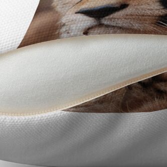Alternate view of Young male Cheetah - Kenya Throw Pillow