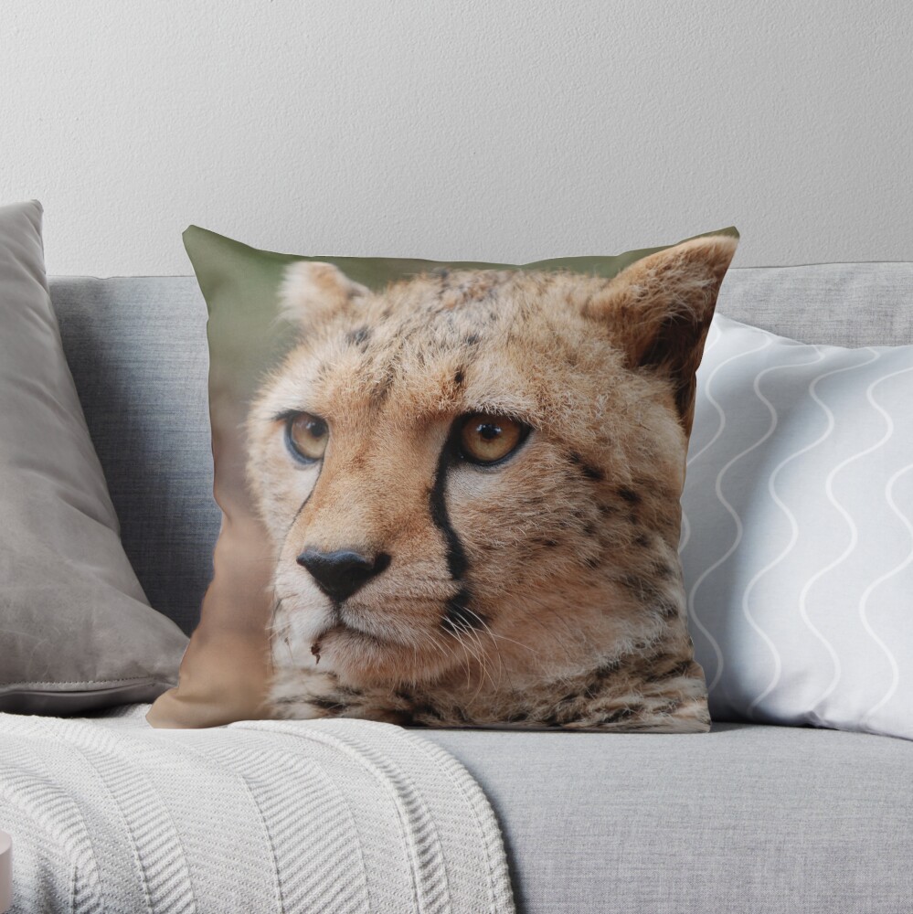 Young male Cheetah - Kenya Throw Pillow