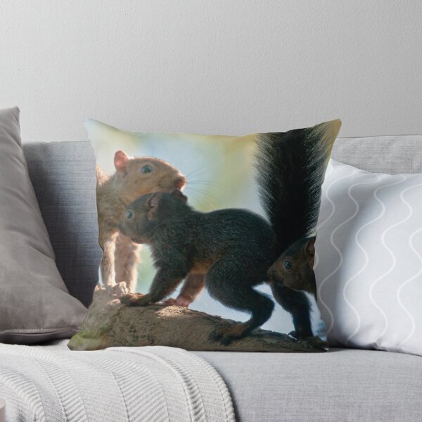 Item preview, Squirrel Family designed and sold by David Friederich.