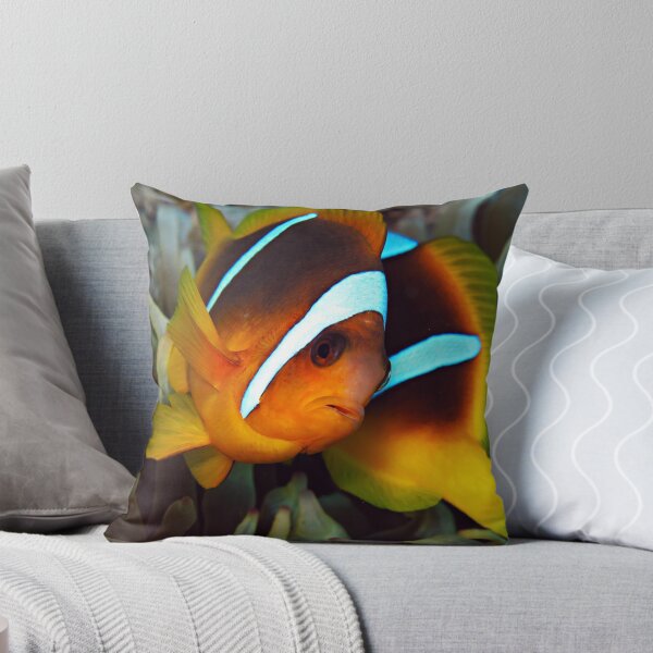 Item preview, Anemone Fish designed and sold by cooperscuba.