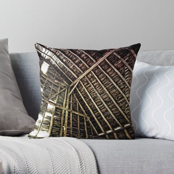 A Barn's Innards Throw Pillow