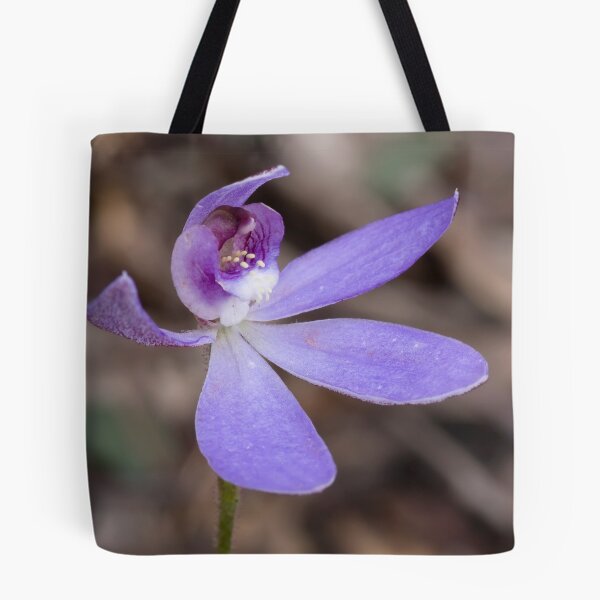 Item preview, Blue Caladenia - Cyanicula caerulea  designed and sold by Paul Piko.
