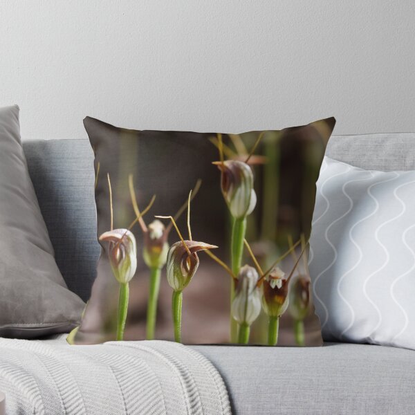 Item preview, Maroonhood Colony - Pterostylis pedunculata designed and sold by Paul Piko.