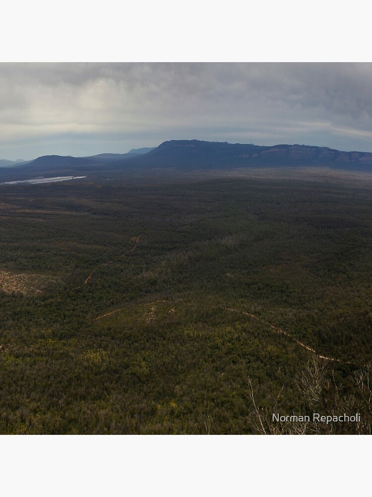 Reeds Lookout panorama by keystone